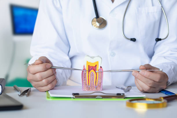 Best Emergency Dental Care for Trauma or Injury in Ampere North, NJ